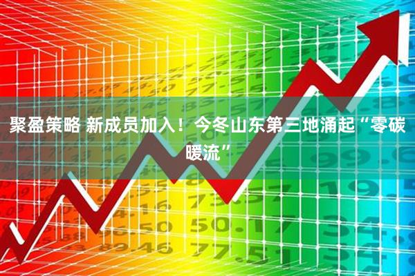 聚盈策略 新成员加入！今冬山东第三地涌起“零碳暖流”