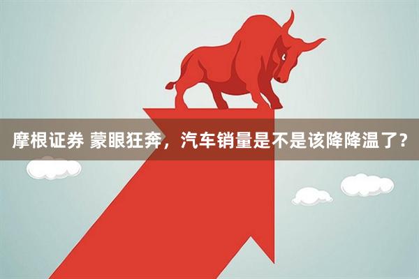 摩根证券 蒙眼狂奔，汽车销量是不是该降降温了？