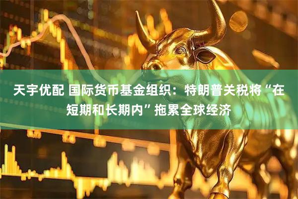 天宇优配 国际货币基金组织：特朗普关税将“在短期和长期内”拖累全球经济
