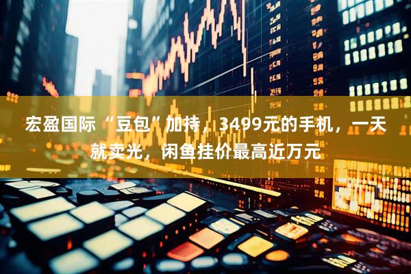 宏盈国际 “豆包”加持，3499元的手机，一天就卖光，闲鱼挂价最高近万元