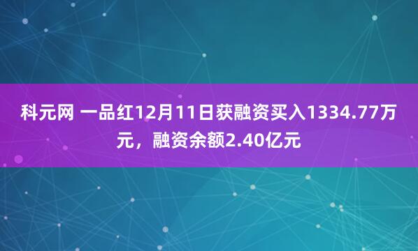 科元网 一品红12月11日获融资买入1334.77万元，融资余额2.40亿元