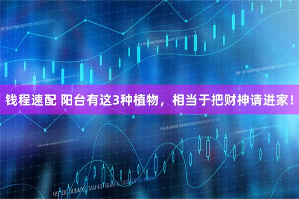 钱程速配 阳台有这3种植物，相当于把财神请进家！
