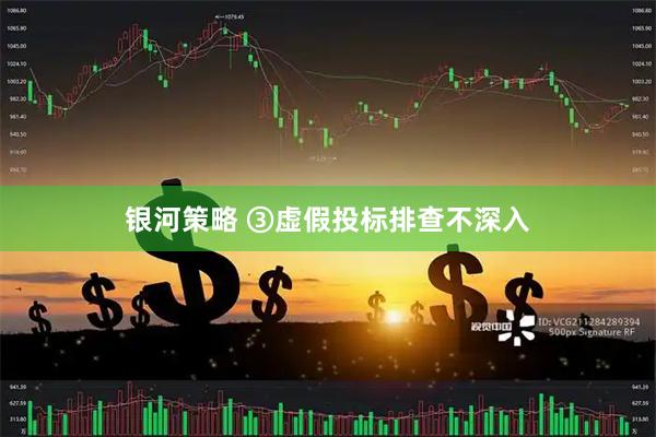 银河策略 ③虚假投标排查不深入