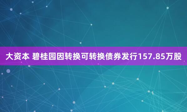 大资本 碧桂园因转换可转换债券发行157.85万股