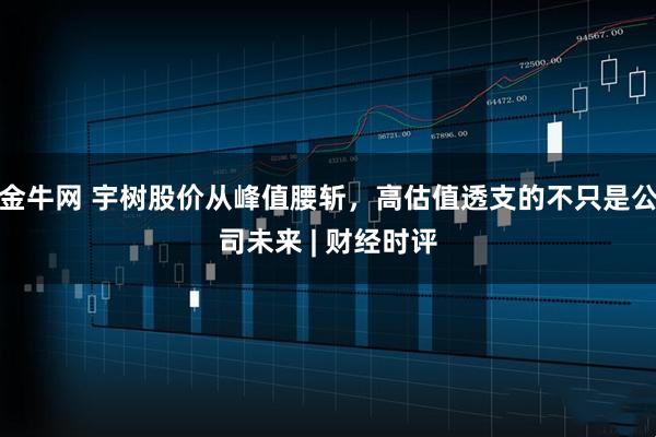 金牛网 宇树股价从峰值腰斩，高估值透支的不只是公司未来 | 财经时评