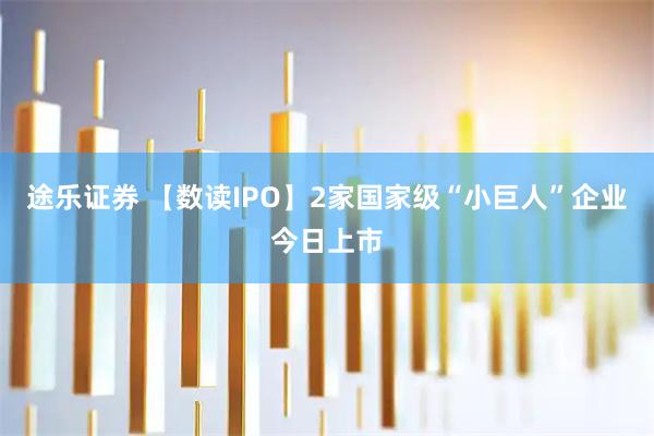 途乐证券 【数读IPO】2家国家级“小巨人”企业今日上市